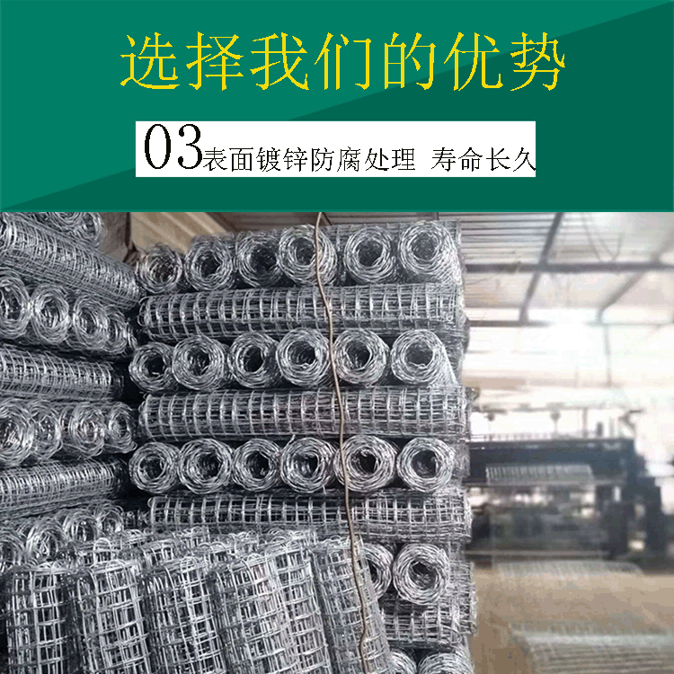 1586954614529270.gif 經緯網優勢3改好.gif